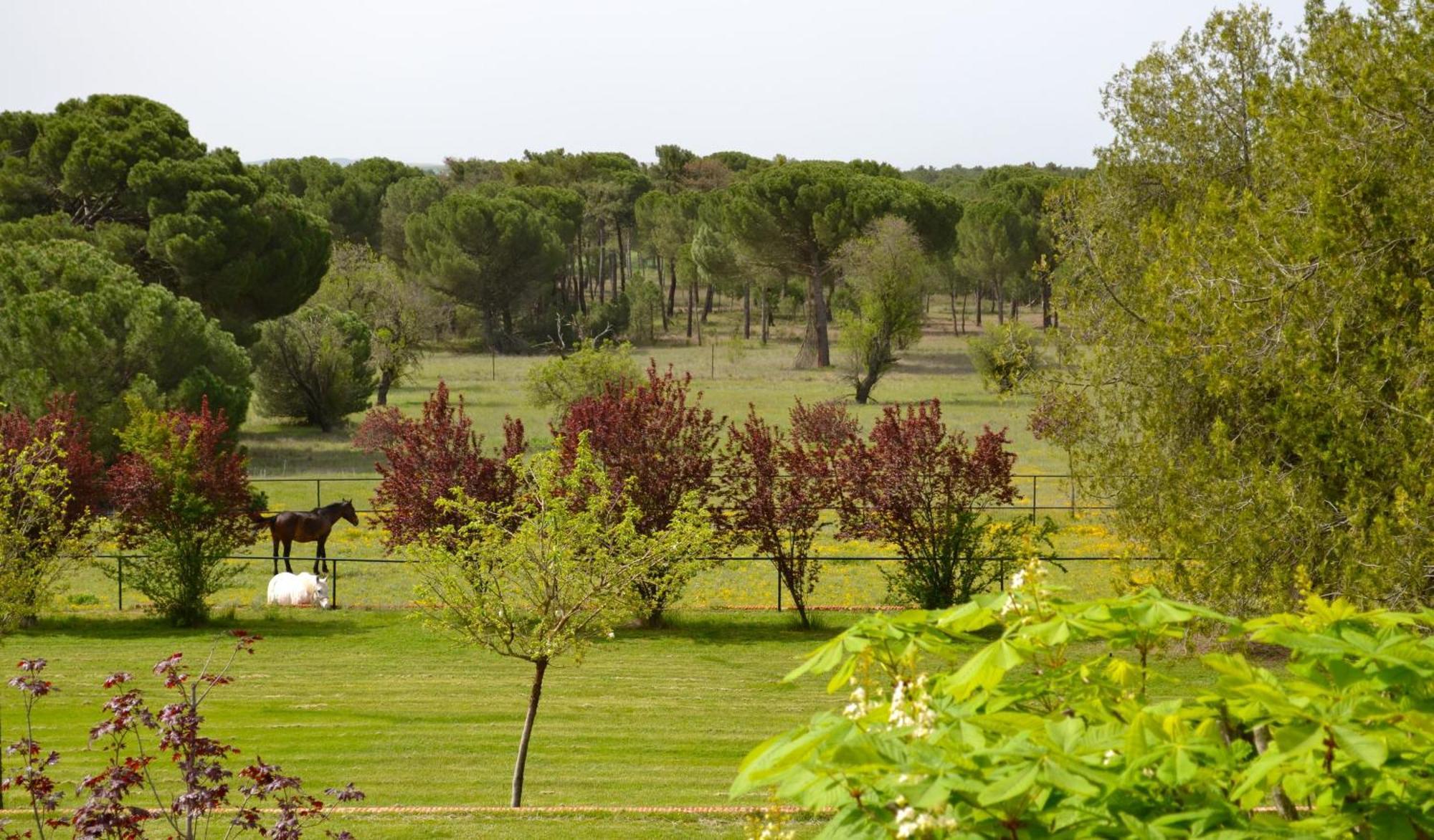 Posada Real Del Pinar Pozal de Gallinas Esterno foto