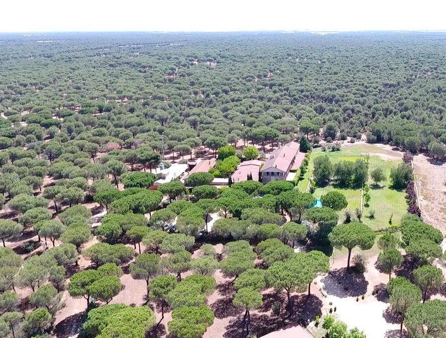 Posada Real Del Pinar Pozal de Gallinas Esterno foto